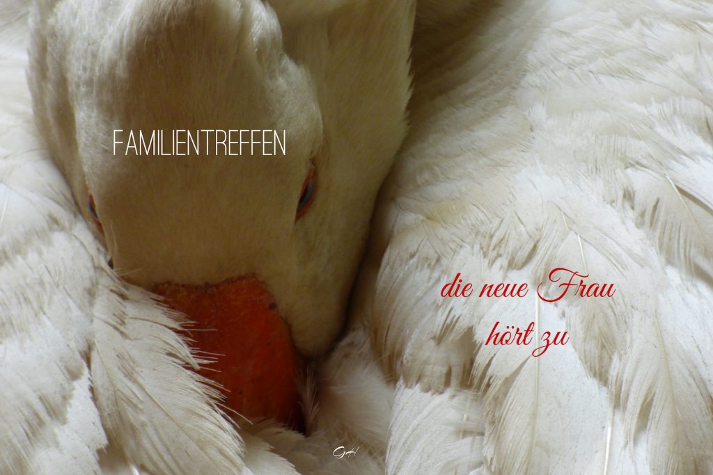 Familientreffen