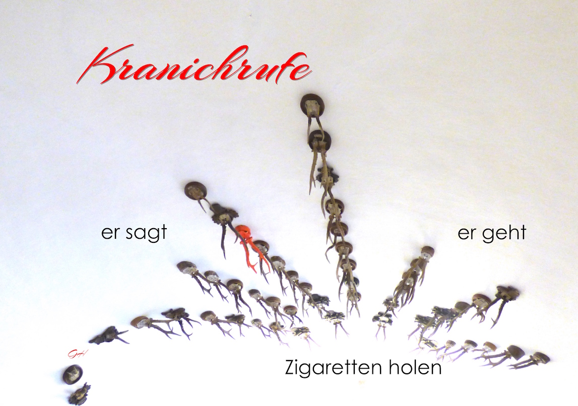 Kranichrufe