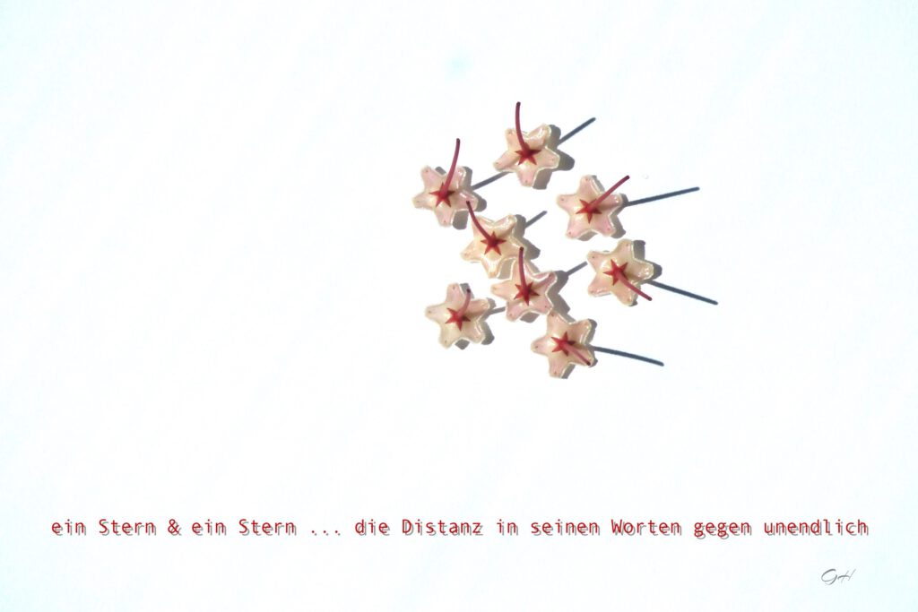 ein Stern & ein Stern