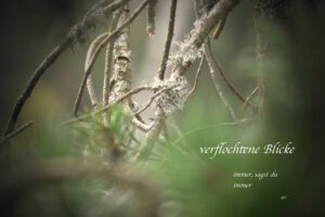 verflochtene Blicke