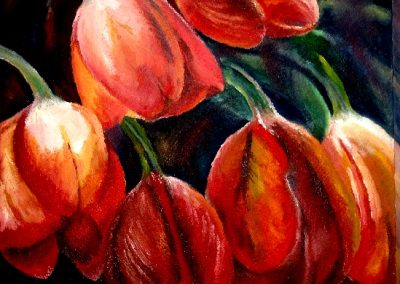sieben Tulpen