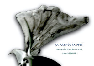 gurrende Tauben