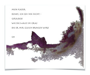 mein Kater