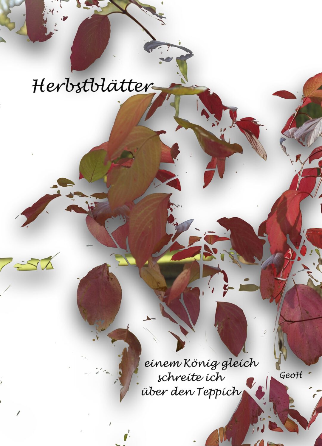 Herbstblätter