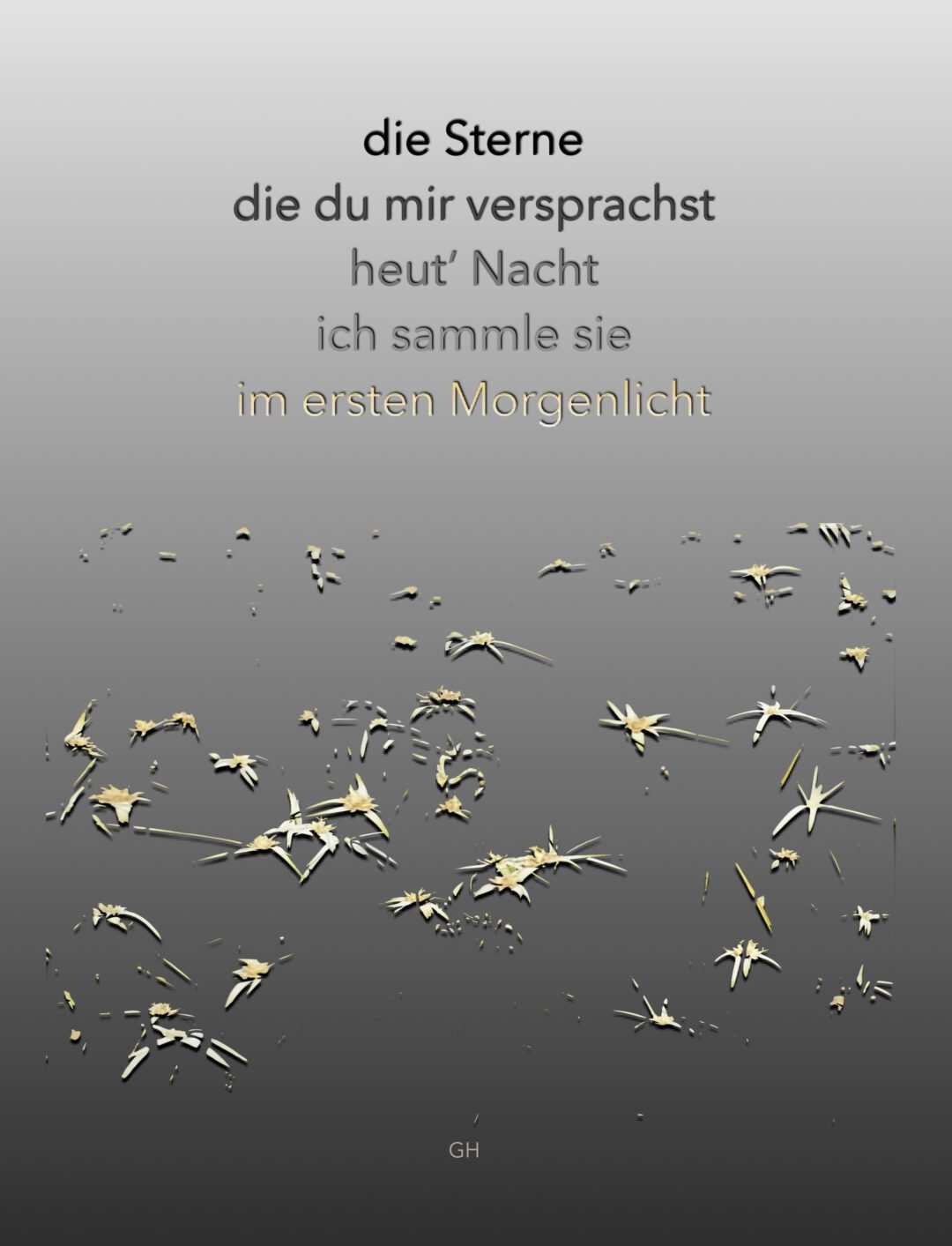 die Sterne