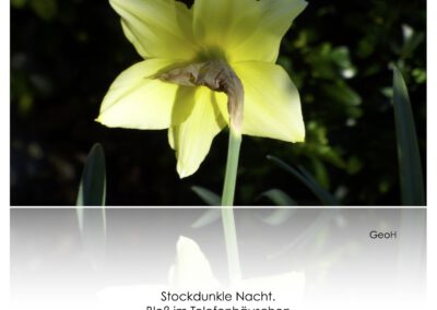 Stockdunkle Nacht