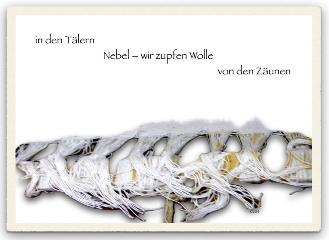 in den Täler Nebel