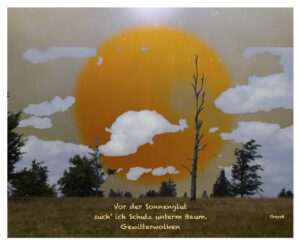 vor der Sonnenglut