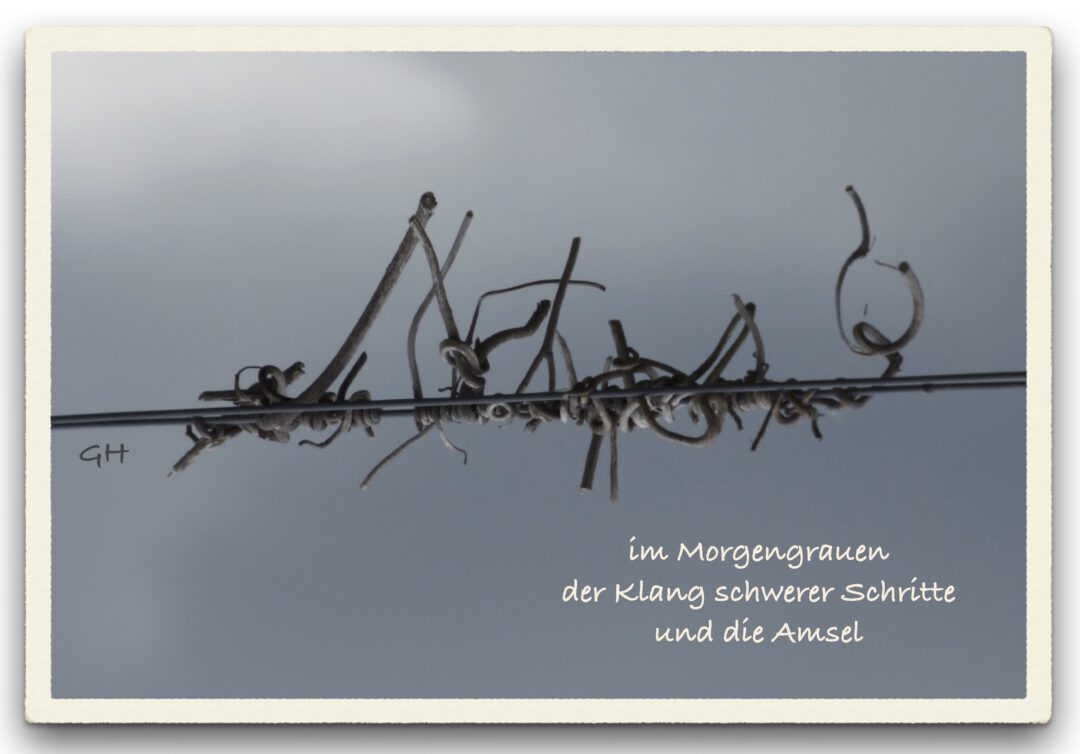 im Morgengrauen