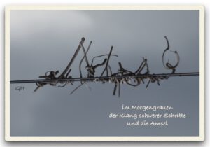 im Morgengrauen