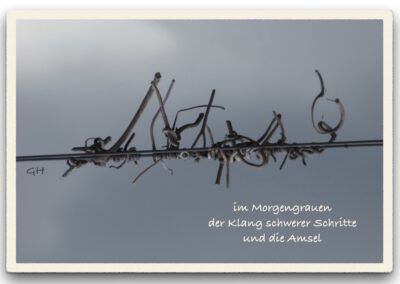 im Morgengrauen