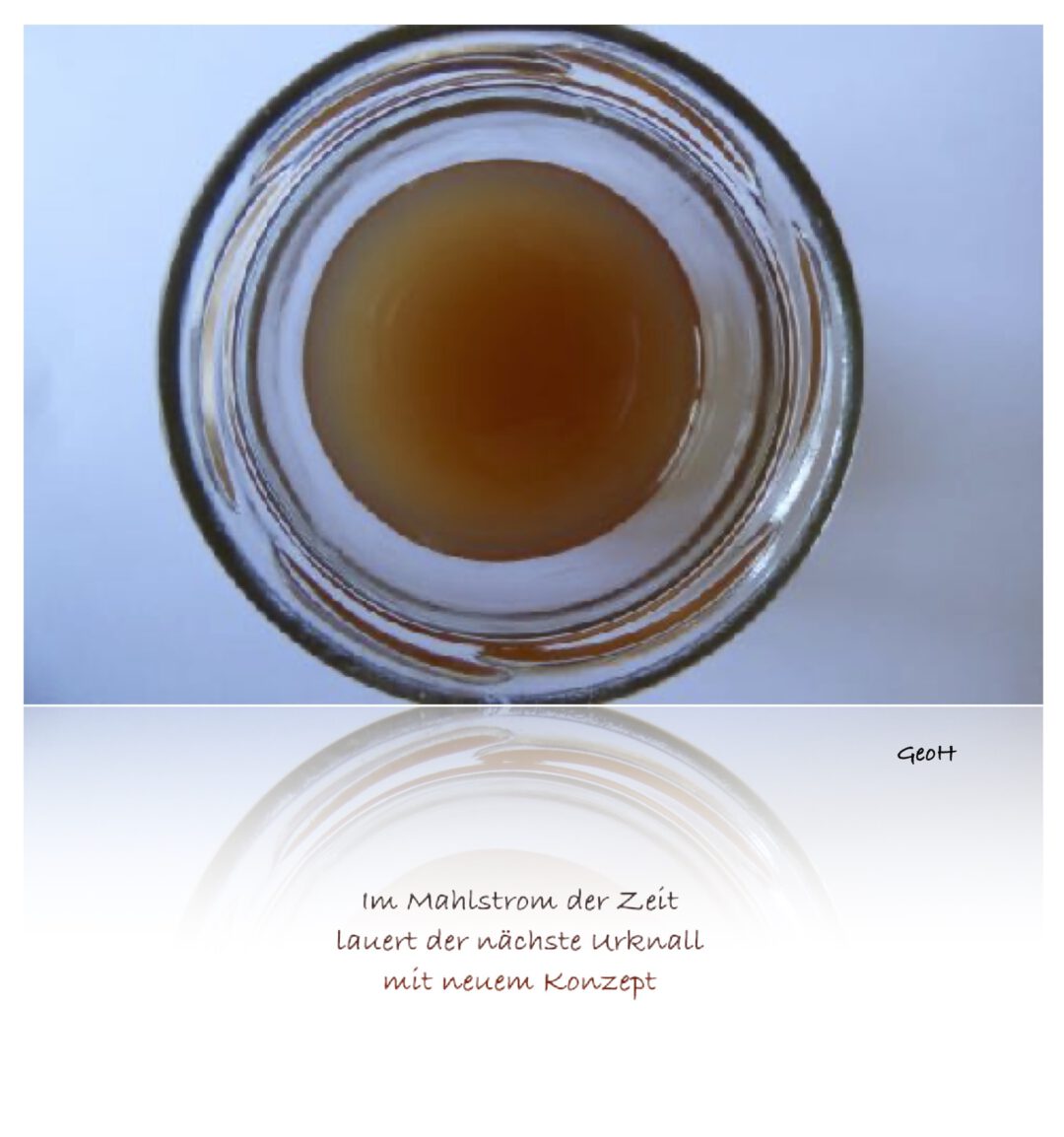 im Mahlstrom der Zeit