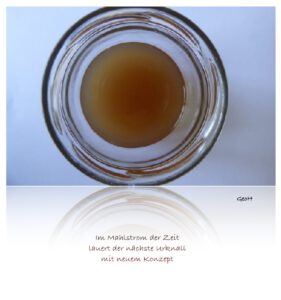 im Mahlstrom der Zeit