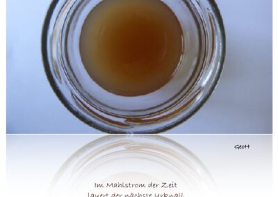 Im Mahlstrom der Zeit