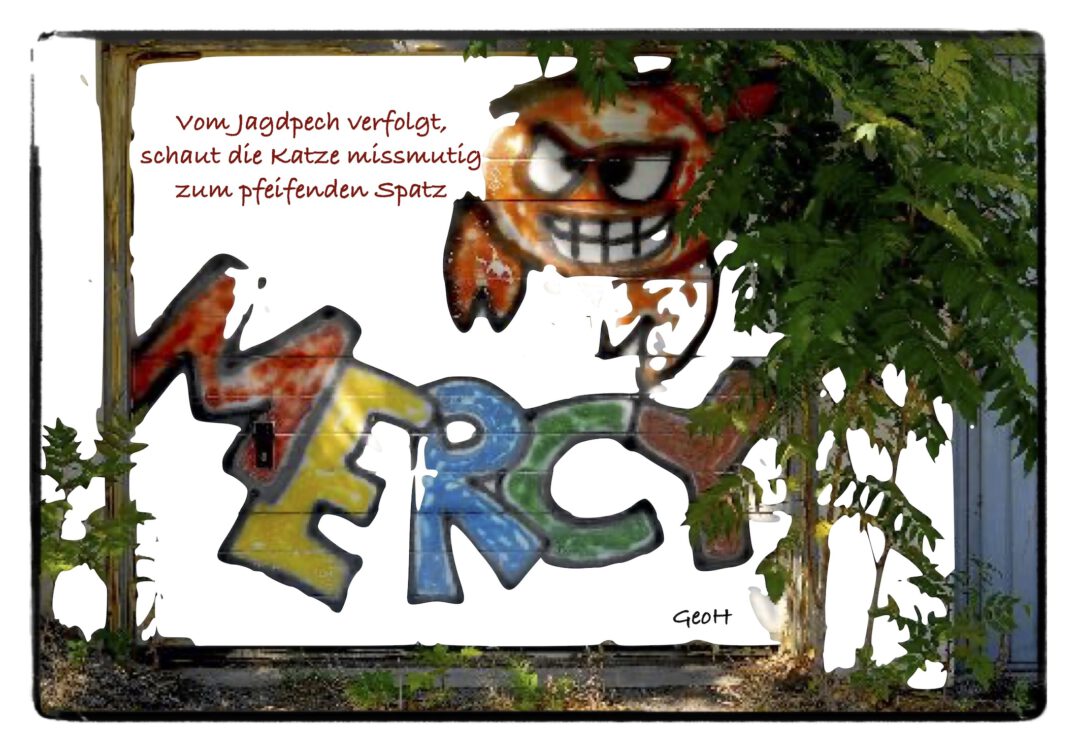 vom Jagdpech verfolgt