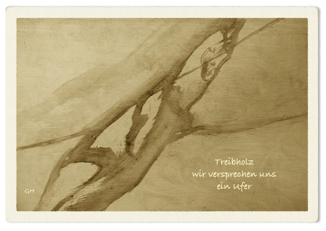 Treibholz 26