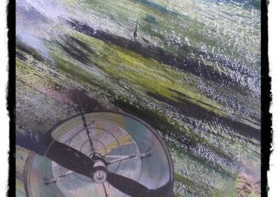 erstes Frühlingslicht