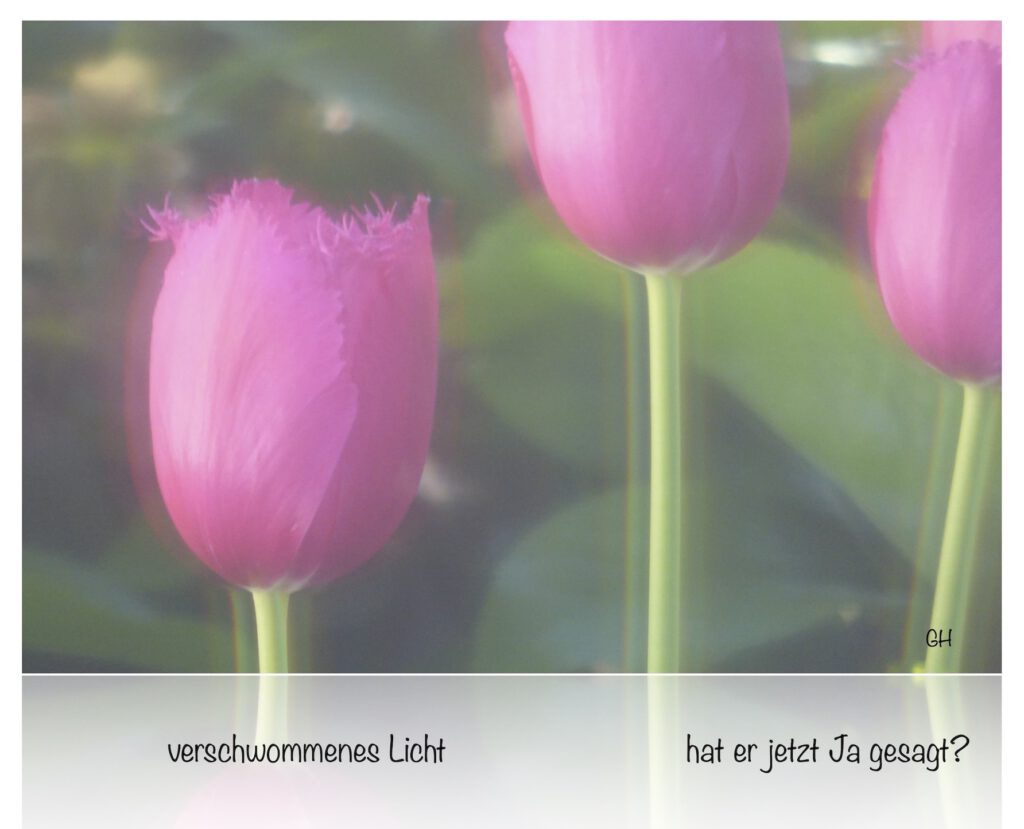 verschwommenes Licht