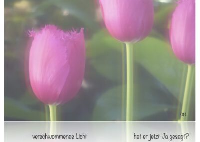 verschwommenes Licht